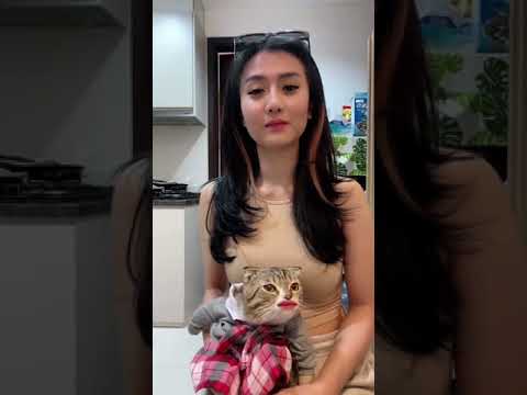 tiktok celana pendek cantik #part27