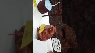 how to make Hajj activity model// Hajj project//school projects/Simple project//islamic projects