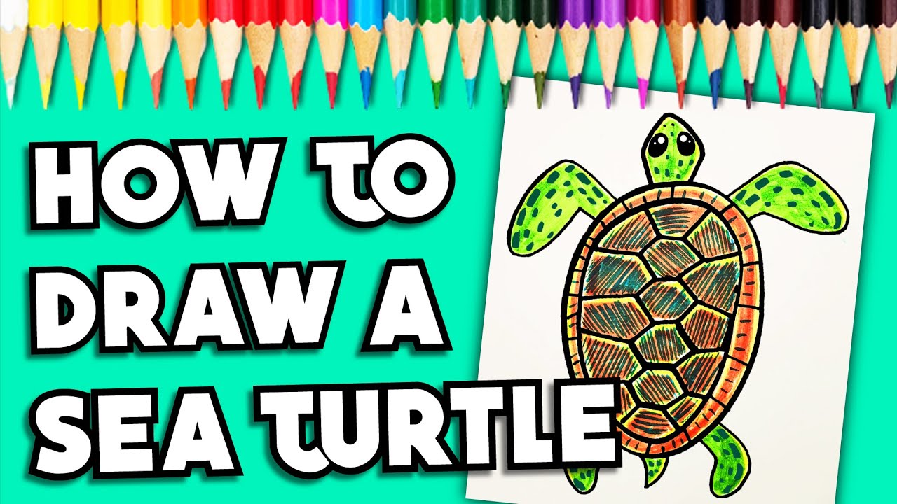 HOW TO DRAW A SEA TURTLE FOR KIDS! (Easy Step By Step Drawing Lesson ...