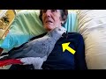 Dying woman says final goodbye to her parrot but the parrots reaction will make you cry
