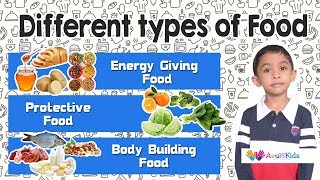 Types Of Food | Kids Educational Videos | Science For Grade 2 | Food Pyramid  - Youtube