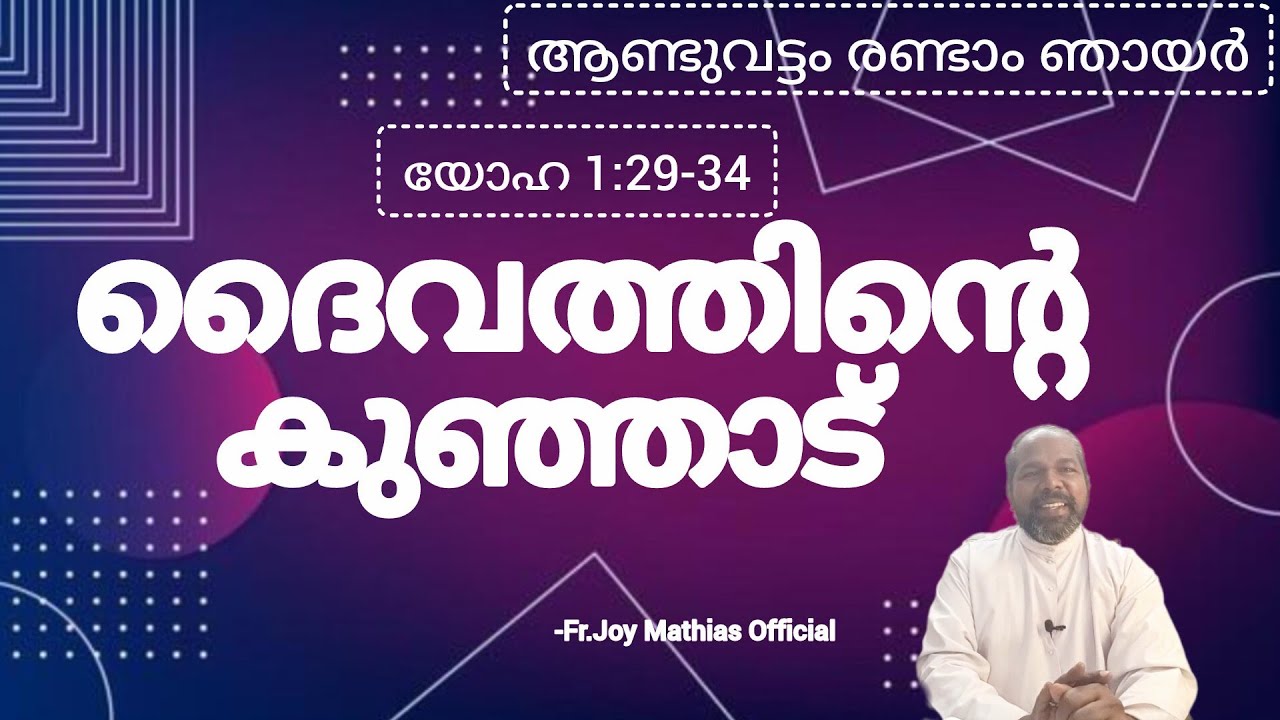 ദൈവത്തിൻ്റെ കുഞ്ഞാട്... 