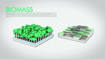 Airbus Defence and Space to build Biomass – the European Space Agency’s forest mission