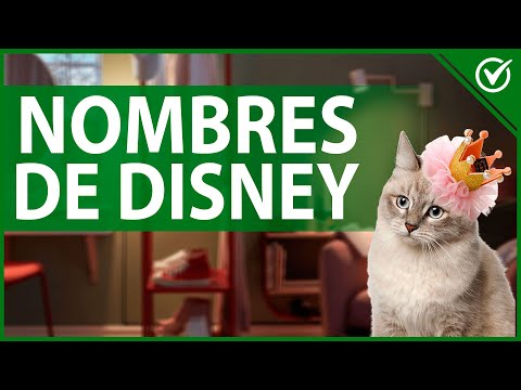 Video: 50 nombres de gatos de disney