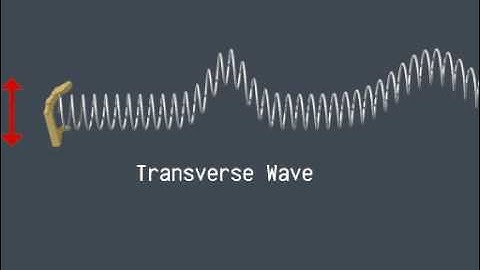 Creating a Transverse Wave