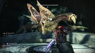 Double Hunters - 1 phase Riven | Destiny 2