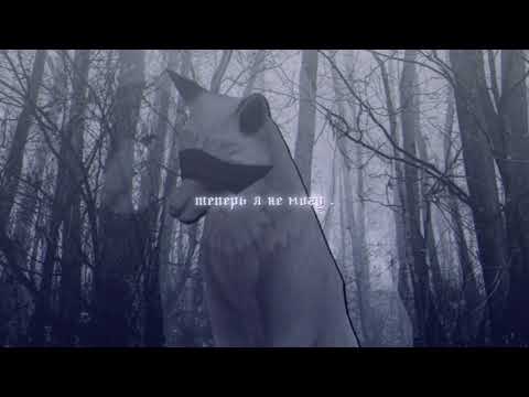 wcmv : среди мёртвых картин