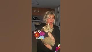 #funny #comedy#katze
