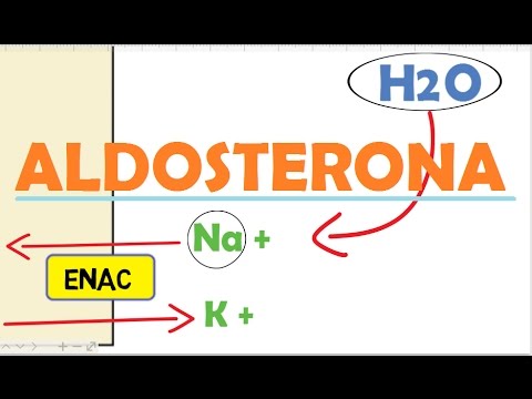 Vídeo: Hormona Aldosterona: Norma, Acción, Función, Antagonistas