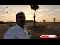 ஆவாரம் பூ நன்மைகள் – இயற்கை மருத்துவத்தின் பொக்கிஷம் | Aavaram Flower Benefits #viral #trending