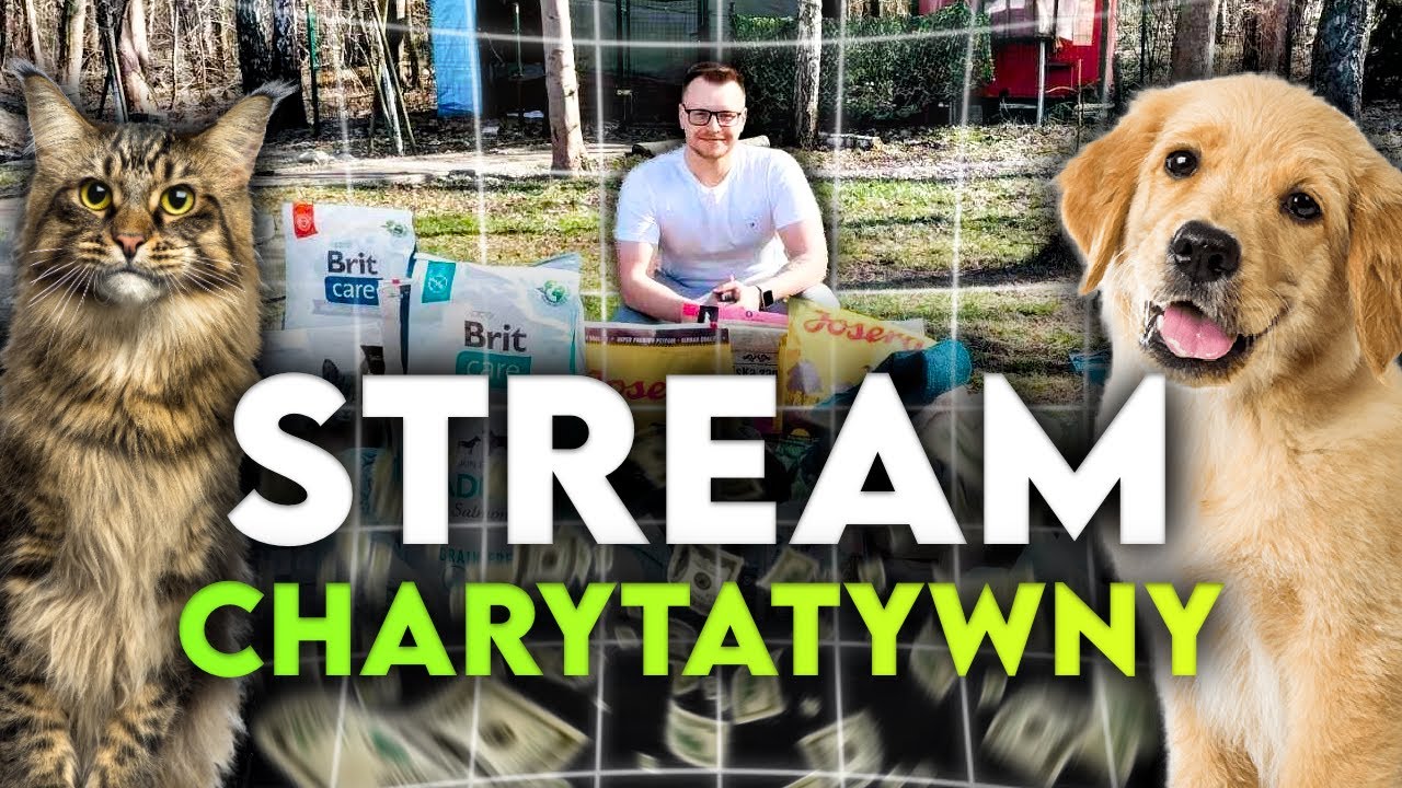 🔴LIVE CHARYTATYWNY - DZIEŃ #60😸🐶❤️ !!!🎮 #charity #cat #dog #animalshelter #stream #fyp #live