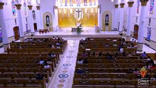 Cathedral Spanish Mass-June 28, 2026