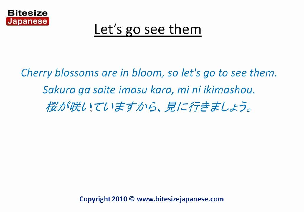How To Say Let S Go See Them In Japanese Www Bitesizejapanese Com Youtube