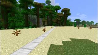 :    Minecraft Snapshot 12w23a / b