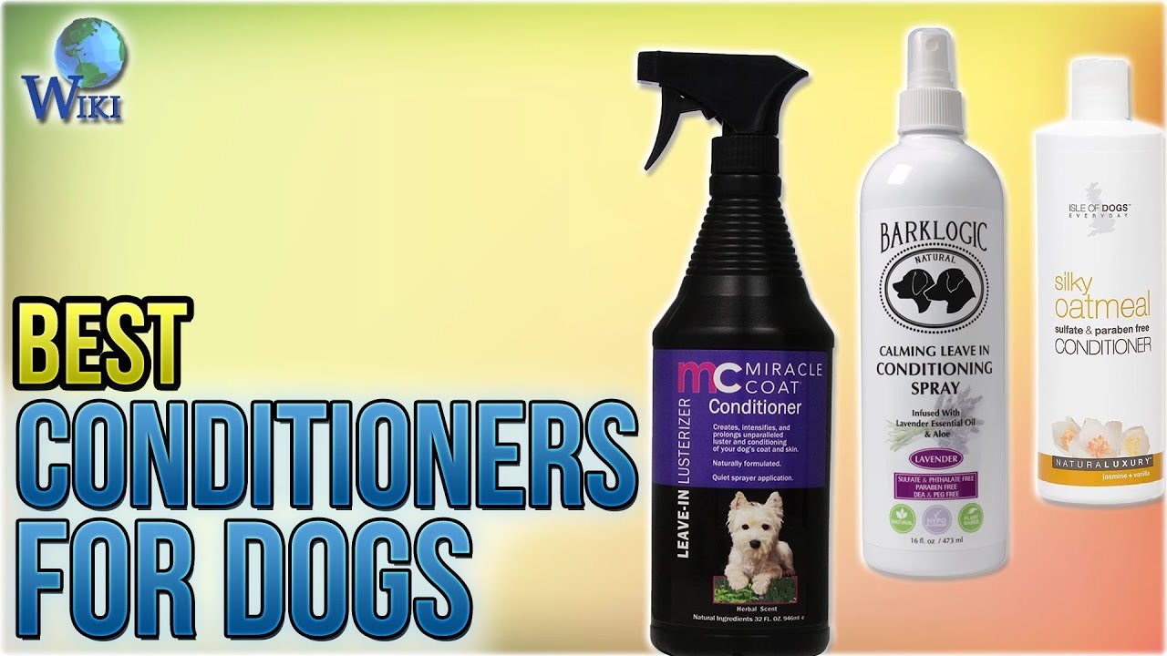 10 Best Conditioners for Dogs 2018 