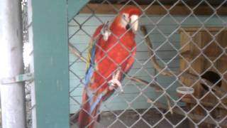 VIDEO0023.3gp