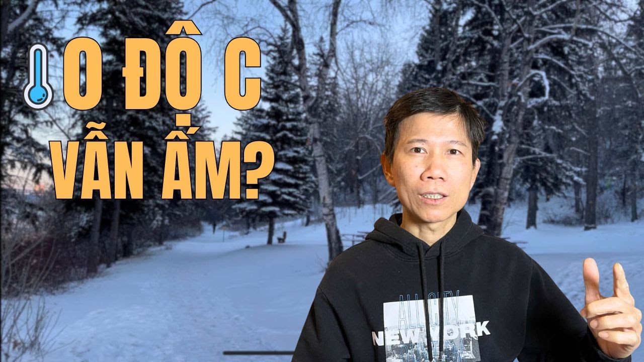 Mùa Đông Canada: 0 Độ C Mà Vẫn… Ấm? Câu Chuyện Nghe Hơi Sai!