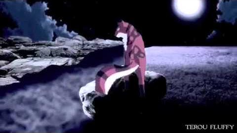 Dead to me - warrior cat animash