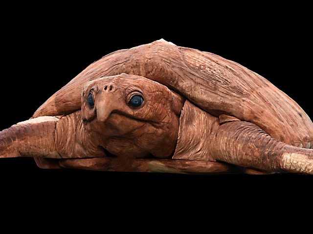 古代海亀アーケロン実物大木彫刻 制作 高画質版 - YouTube