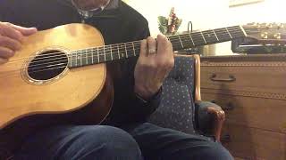 1990 Goodall Rosewood Standard Guitar Demo and Review