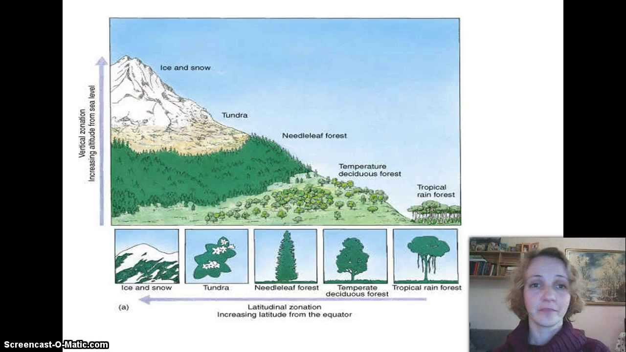 Izokrenuta učionica - Biom i biosfera