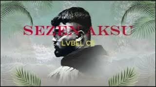 LVBEL C5 - SEZEN AKSU ( 1 SAAT )