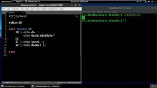 Bash Shell Scripting Tutorials For Beginners 19 - case esac Statement in Bash