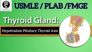 Thyroid Gland | Hypothalamic Pituitary Thyroid Axis (Regulation,TRH,TSH,thyroid hormone T3 and T4)