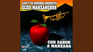 Video thumbnail of "Lalo y Su Marimba Orquesta Ecos Manzaneros - Se Fue Mi Amor, Marimba de Guatemala"