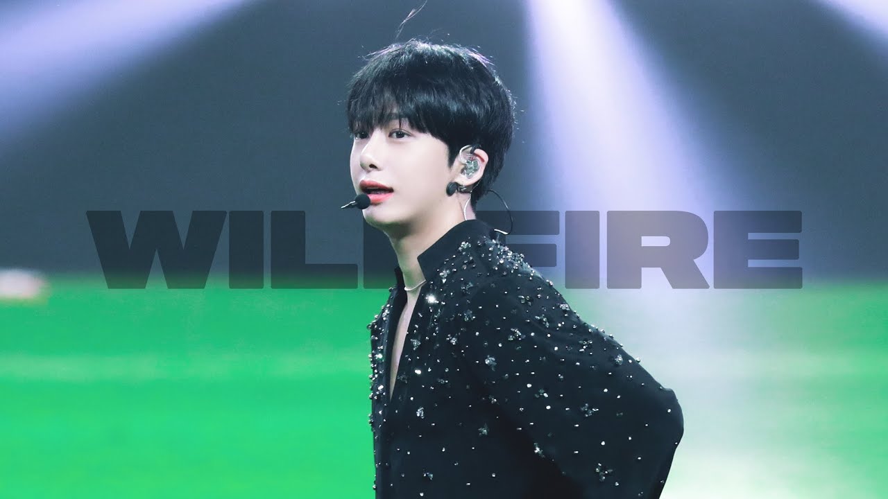 WILDFIRE 형원 focus 4K