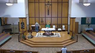 St. Laurence Catholic Chruch - Elgin, IL (Facebook & YouTube)