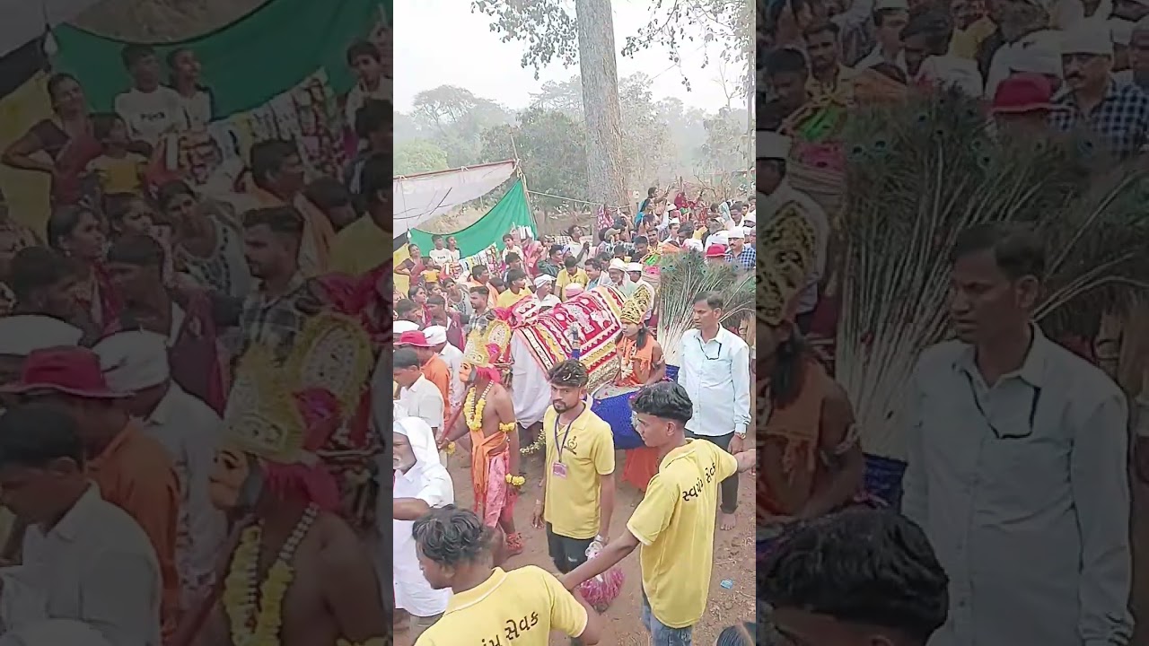 દેવ મોગરા માતા સ્નાન યાત્રા દરમિયાન આદિવાસી સંસ્કૃતિ 