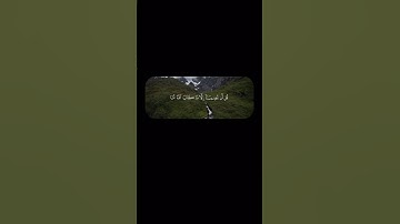 وعلى الله فليتوكل المؤمنون #قرآن #سورة_التوبة الآية ٥٢ #علي_جابر