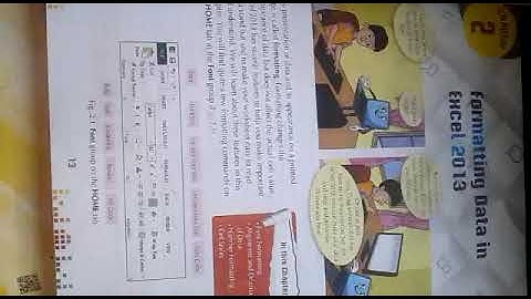 Grade 6 computer Formatting data in Ms Excel