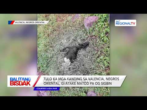 3 Kanding sa Valencia, Negros Oriental, Gi-atake og Sigbin | Balitang Bisdak