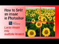 Print a large image on multiple pages with photoshop  split image into tiles