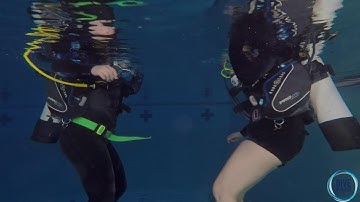 Diving Skills - Five Point Descent SORTED