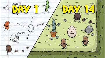 2 Weeks of Indie Game Development Progress!