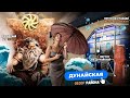 ДУНАЙСКАЯ | Обзор района в окружении метро Дунайская в Санкт-Петербурге | Мария Кудреватых