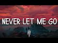 Wiese - Never Let Me Go (Lyrics)