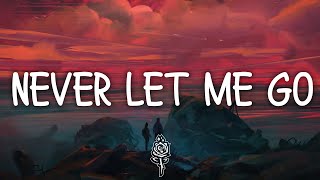 Wiese - Never Let Me Go (Lyrics)
