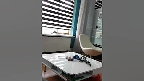 Watch the video about Savannah cat f1 playing fetch!