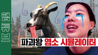 게임고자 햄튜브의 염소 시뮬레이터 - Goat Simulator [햄튜브]