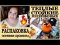 🔥АРОМАТЫ ОСЕНИ: стойкие, шлейфовые, глубокие, согревающие💥РАСПАКОВКА: новый ПАРФЮМ [JANNA FET]