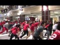 Gangnam Style Flashmob at Ohio Union