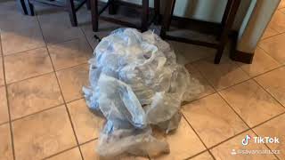 DON’T LET THE CAT OUT OF THE BAG by Savannah Tazz 62 views 3 years ago 53 seconds
