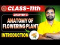 Class 11th Biology Chapter 6 Bihar Board | Anatomy of Flowering Plant Class 11 By Vikas Sir |
