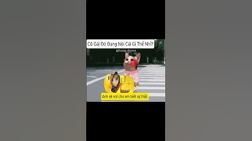 Cô Gái Đó Đang Nói Cái Gì Thế Nhỉ? 😱 #shorts #funny #cheems