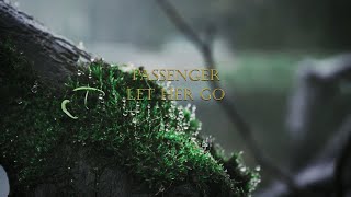 Passenger - Let Her Go (Lyrics Español/Inglés)
