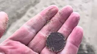 Beach metal detecting at a Los Angeles Beach 
